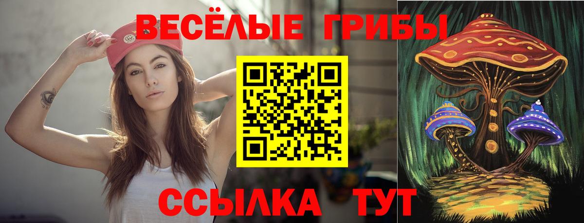 Псилоцибиновые грибы Psilocybe Ржев