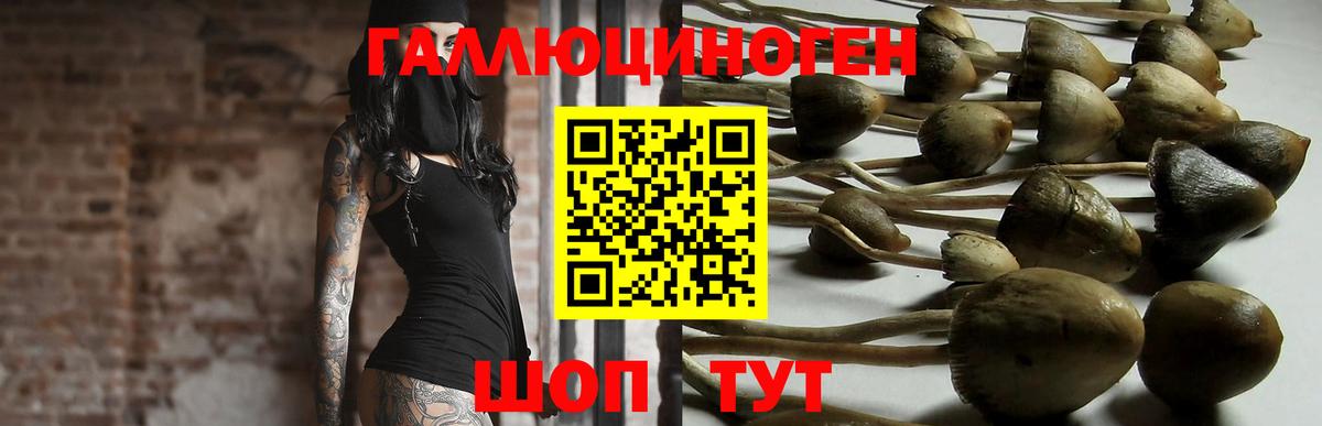 Ржев  Галлюциногенные грибы MAGIC MUSHROOMS  Вход с VPN 